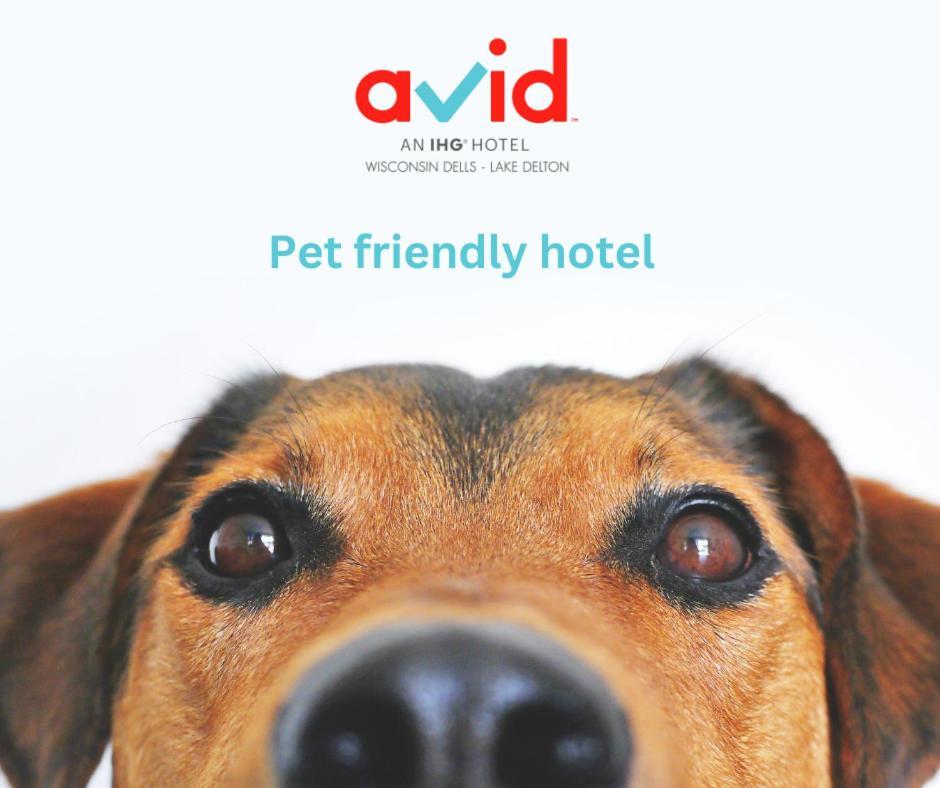 Avid Hotel Wisconsin Dells Lake Delton By Ihg Exterior foto